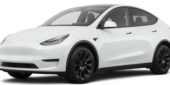 TESLA MODEL Y 2021 5YJYGDEE1MF066428 image